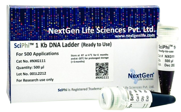 SciPhi 1 kb DNA Ladder