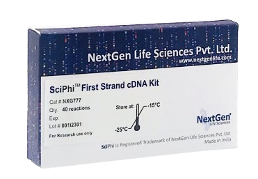 SciPhi First Strand cDNA Synthesis Kit